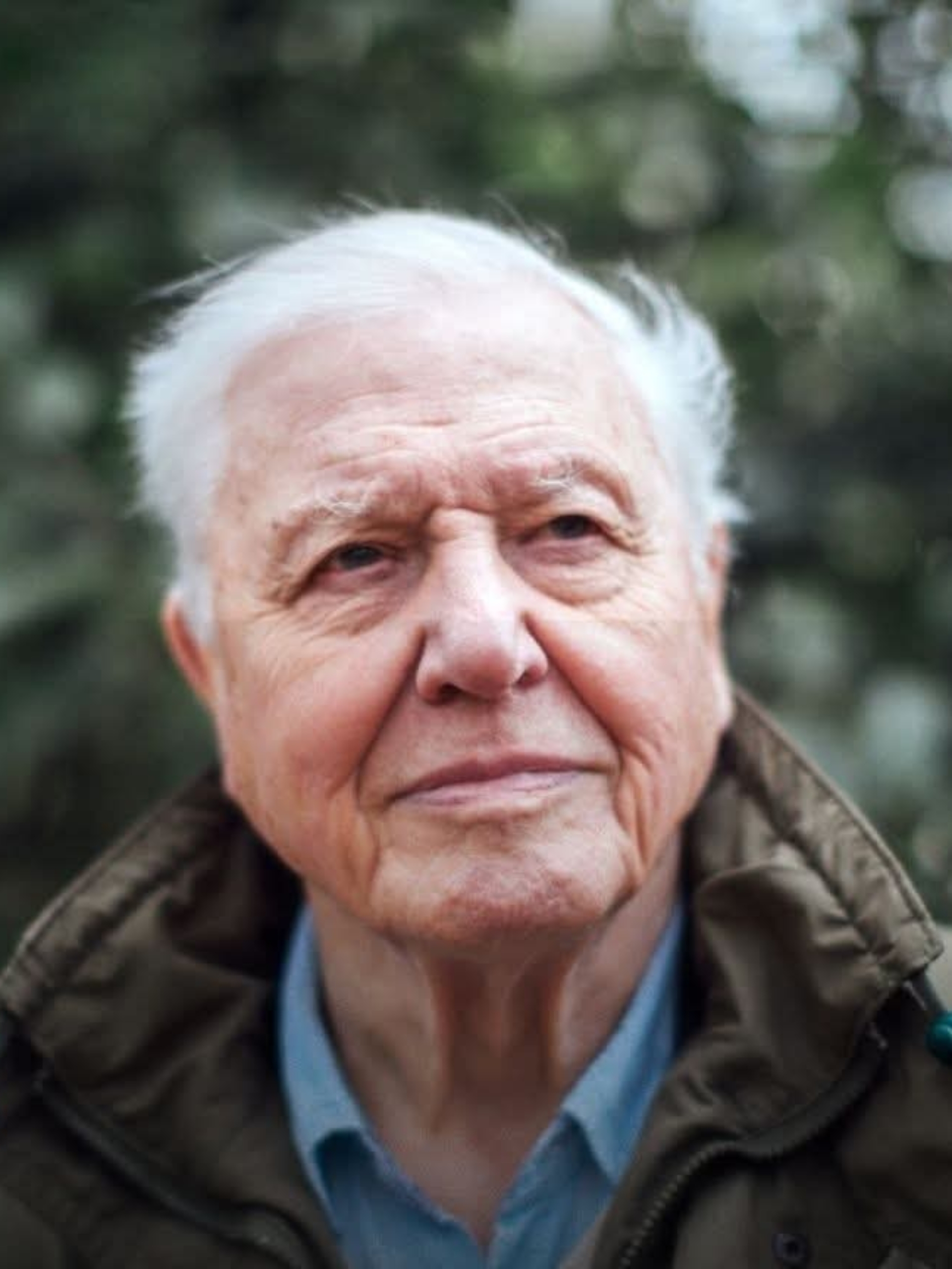 Attenborough, Sir David