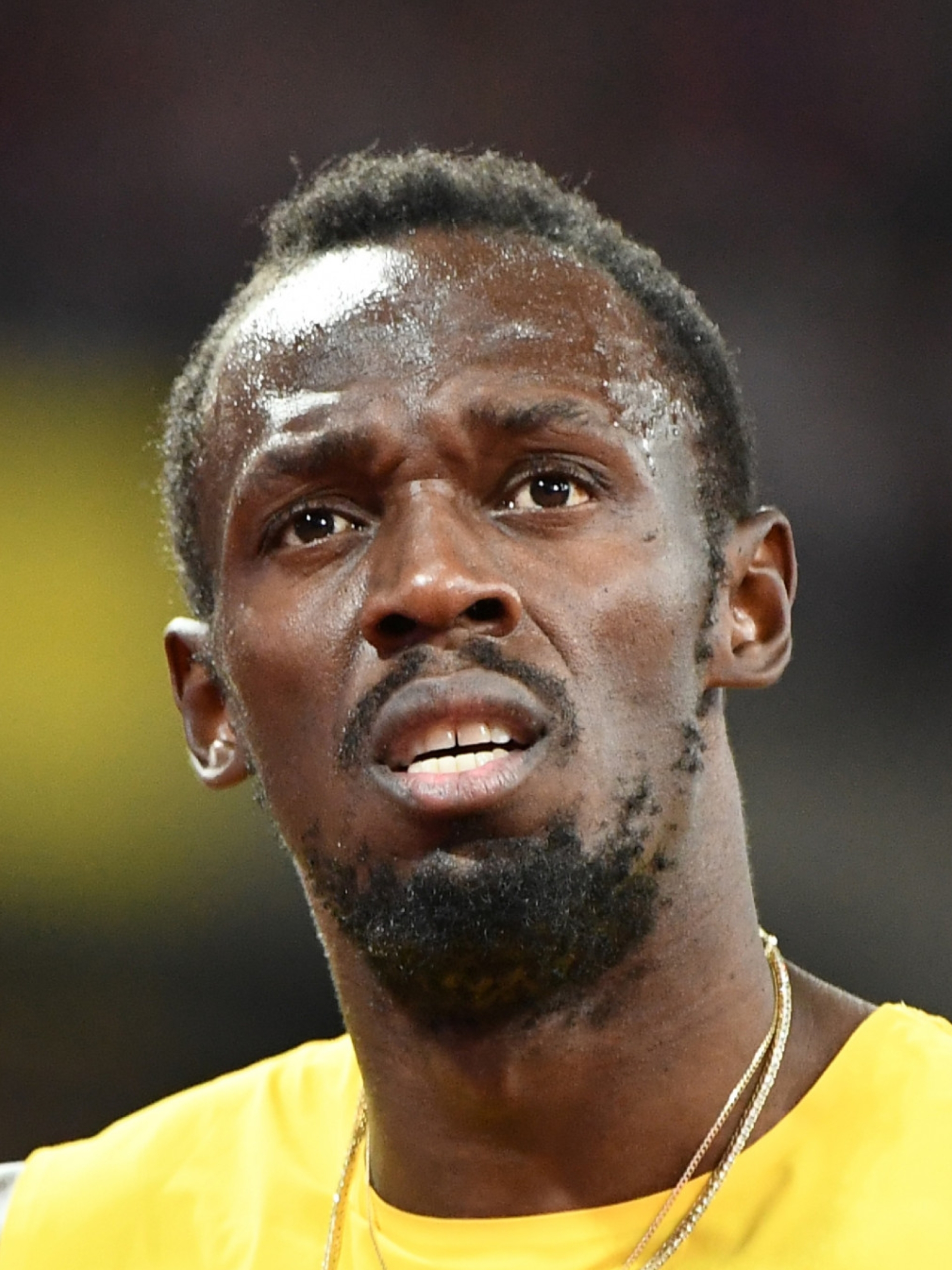 Bolt, Usain